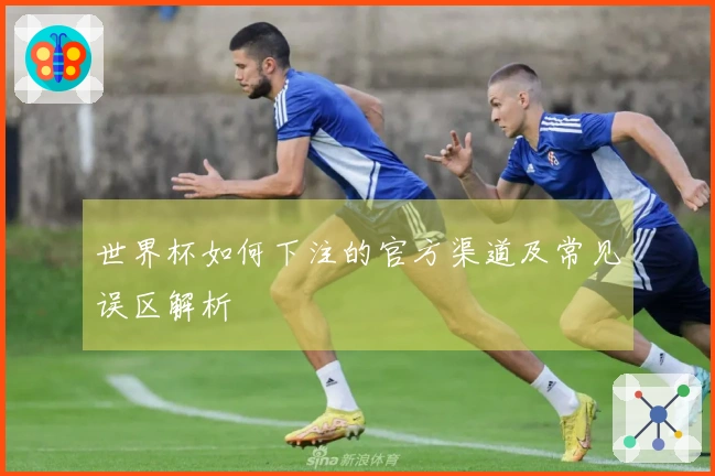 世界杯如何下注的官方渠道及常见误区解析