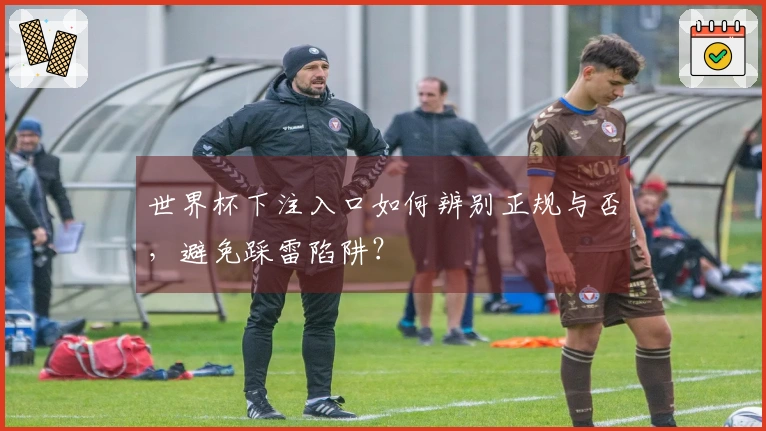 世界杯下注入口如何辨别正规与否，避免踩雷陷阱？