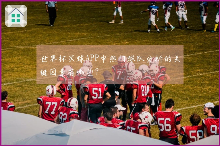 世界杯买球APP中热门球队分析的关键因素有哪些？