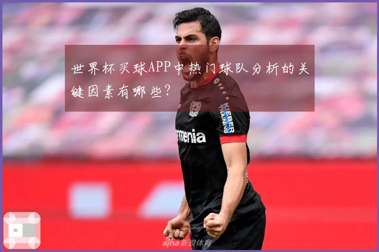 世界杯买球APP中热门球队分析的关键因素有哪些？