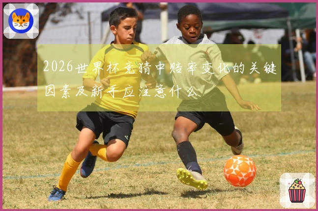 2026世界杯竞猜中赔率变化的关键因素及新手应注意什么
