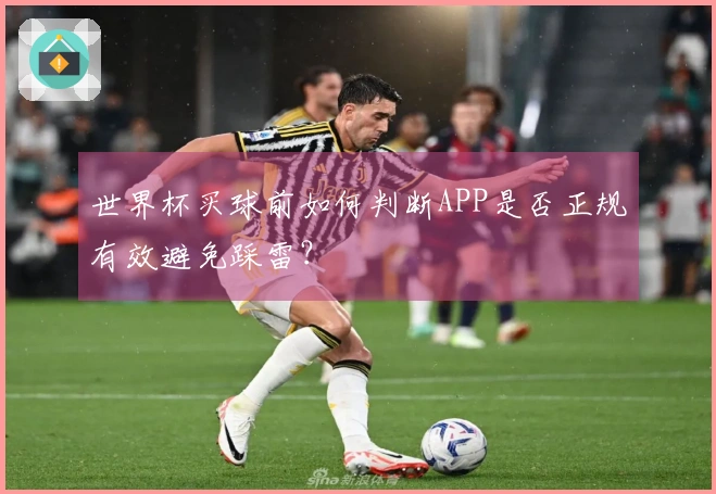 世界杯买球前如何判断APP是否正规有效避免踩雷？