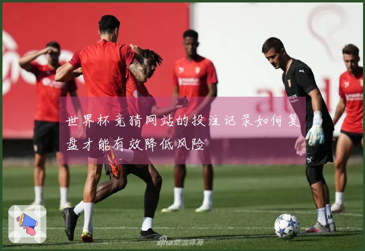 世界杯竞猜网站的投注记录如何复盘才能有效降低风险