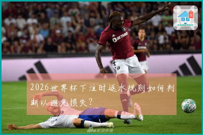 2026世界杯下注时返水规则如何判断以避免损失？