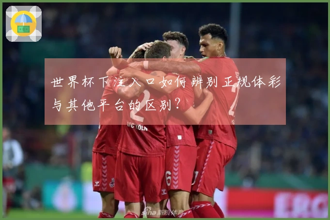世界杯下注入口如何辨别正规体彩与其他平台的区别？