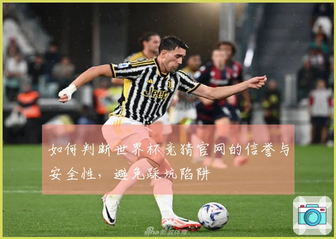 如何判断世界杯竞猜官网的信誉与安全性，避免踩坑陷阱