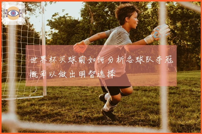 世界杯买球前如何分析各球队夺冠概率以做出明智选择