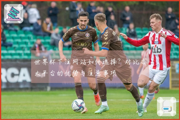 世界杯下注网站如何选择？对比各大平台的优势与注意事项