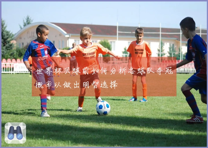 世界杯买球前如何分析各球队夺冠概率以做出明智选择