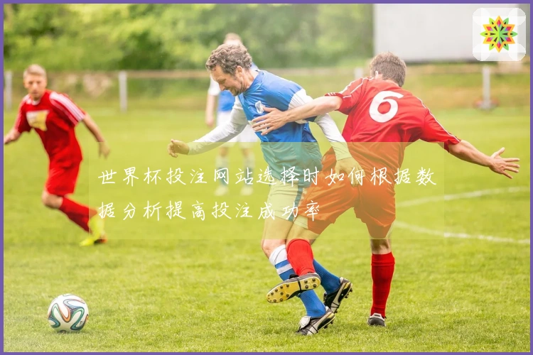 世界杯投注网站选择时如何根据数据分析提高投注成功率