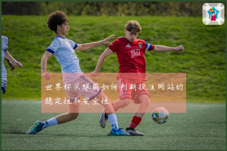 世界杯买球前如何判断投注网站的稳定性和安全性