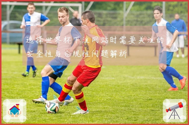 选择世界杯下注网站时需要关注的安全性与合规性问题解析