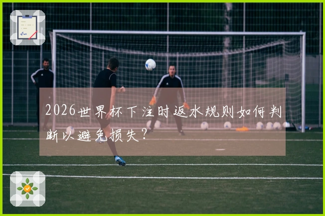2026世界杯下注时返水规则如何判断以避免损失？