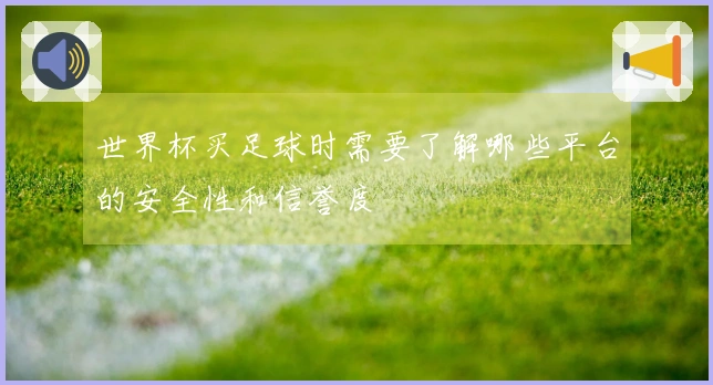 世界杯买足球时需要了解哪些平台的安全性和信誉度