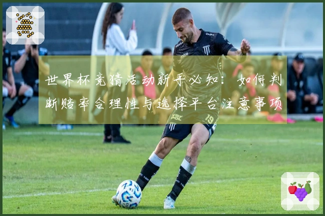 世界杯竞猜活动新手必知：如何判断赔率合理性与选择平台注意事项