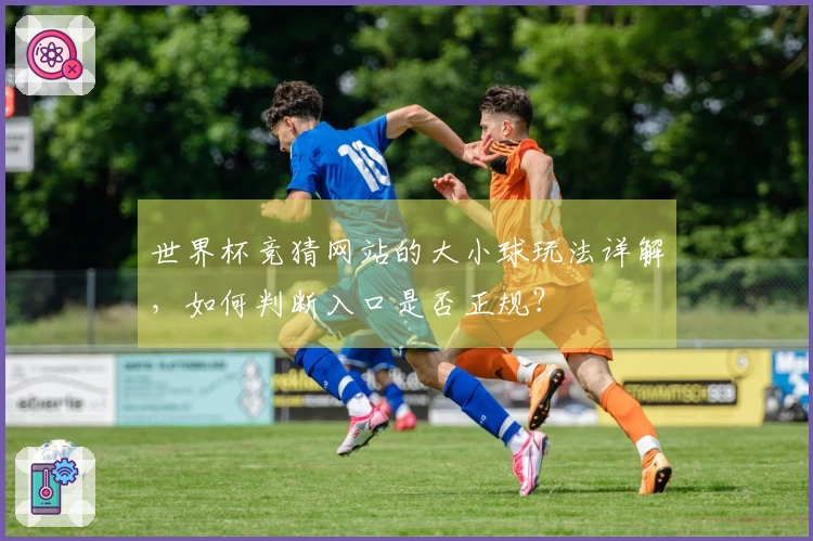 世界杯竞猜网站的大小球玩法详解，如何判断入口是否正规？
