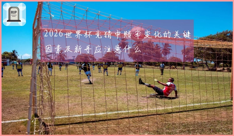 2026世界杯竞猜中赔率变化的关键因素及新手应注意什么